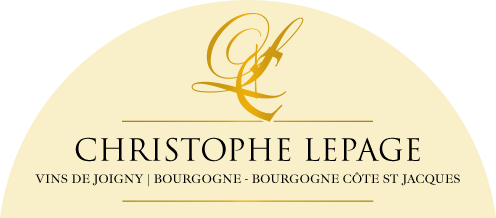 Logo Christophe Lepage