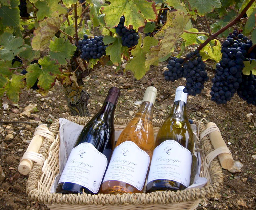 Bouteille et verres